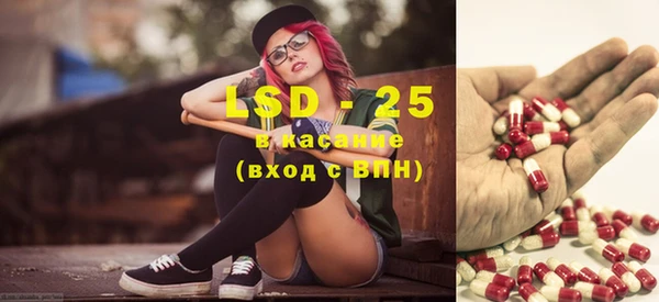 ПСИЛОЦИБИНОВЫЕ ГРИБЫ Костерёво